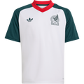 Youth Mexico Away Pre-Match Jersey - Soccer Jersey