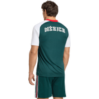 Men's Mexico Away Pre-Match Jersey - Soccer Jersey
