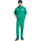 Mexico Men’s DNA Fleece Hoodie - Sports Hoodie