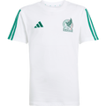 Mexico Youth DNA Tee - Sports T-Shirt
