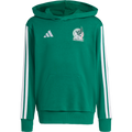 Mexico Youth DNA Hoodie - Sports Hoodie