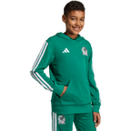 Mexico Youth DNA Hoodie - Sports Hoodie