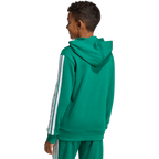 Mexico Youth DNA Hoodie - Sports Hoodie