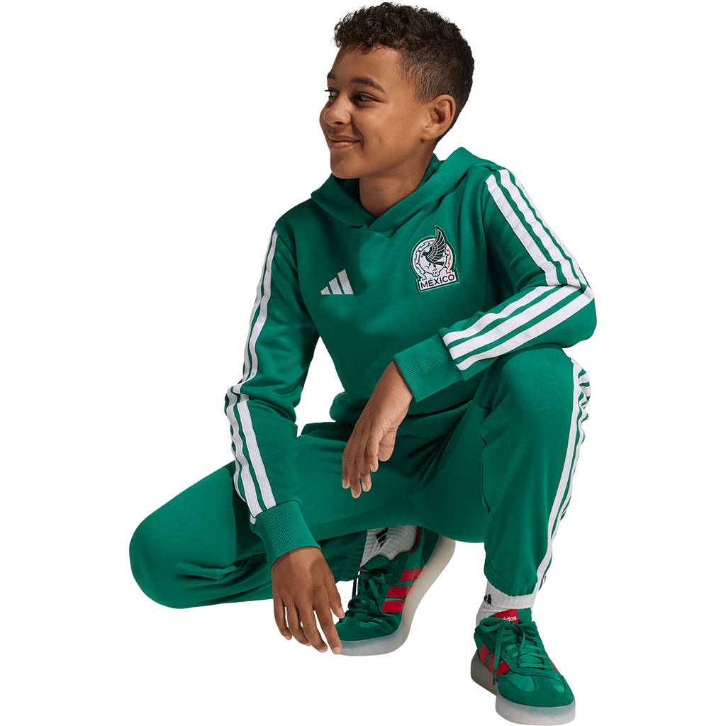 Mexico Youth DNA Hoodie - Sports Hoodie