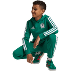 Mexico Youth DNA Hoodie - Sports Hoodie