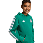 Mexico Youth DNA Hoodie - Sports Hoodie