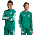 Mexico Youth DNA Hoodie - Sports Hoodie