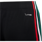 Youth Mexico 3rd 2026 Shorts - Sports Shorts