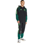 Mexico Men’s Tiro 26 Sweat Hoodie - Sports Hoodie