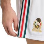 Mexico Men's Shorts - Sports Shorts