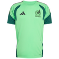 Mexico Men’s Tiro 26 Training Jersey - Soccer Jersey