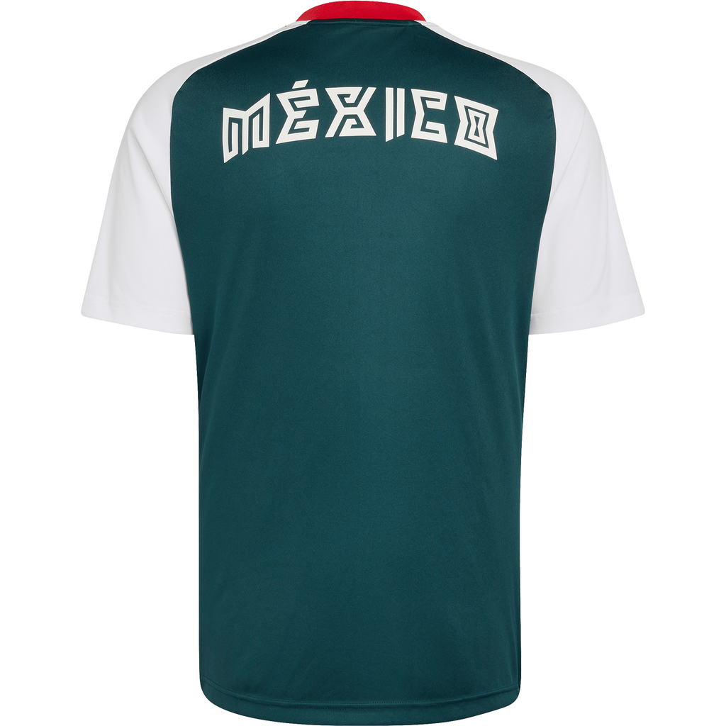 Men's Mexico Away Pre-Match Jersey - Soccer Jersey